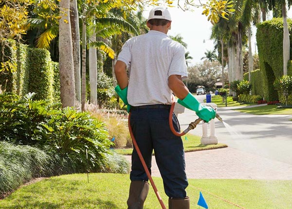 About Bradenville PA Pest Control